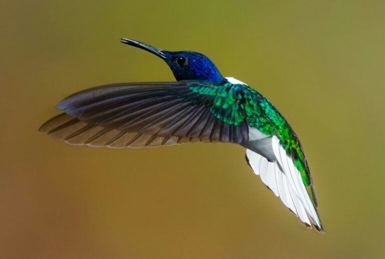 zdenek machacek Vu4 Il 2Kdo unsplash scaled e1762976595160