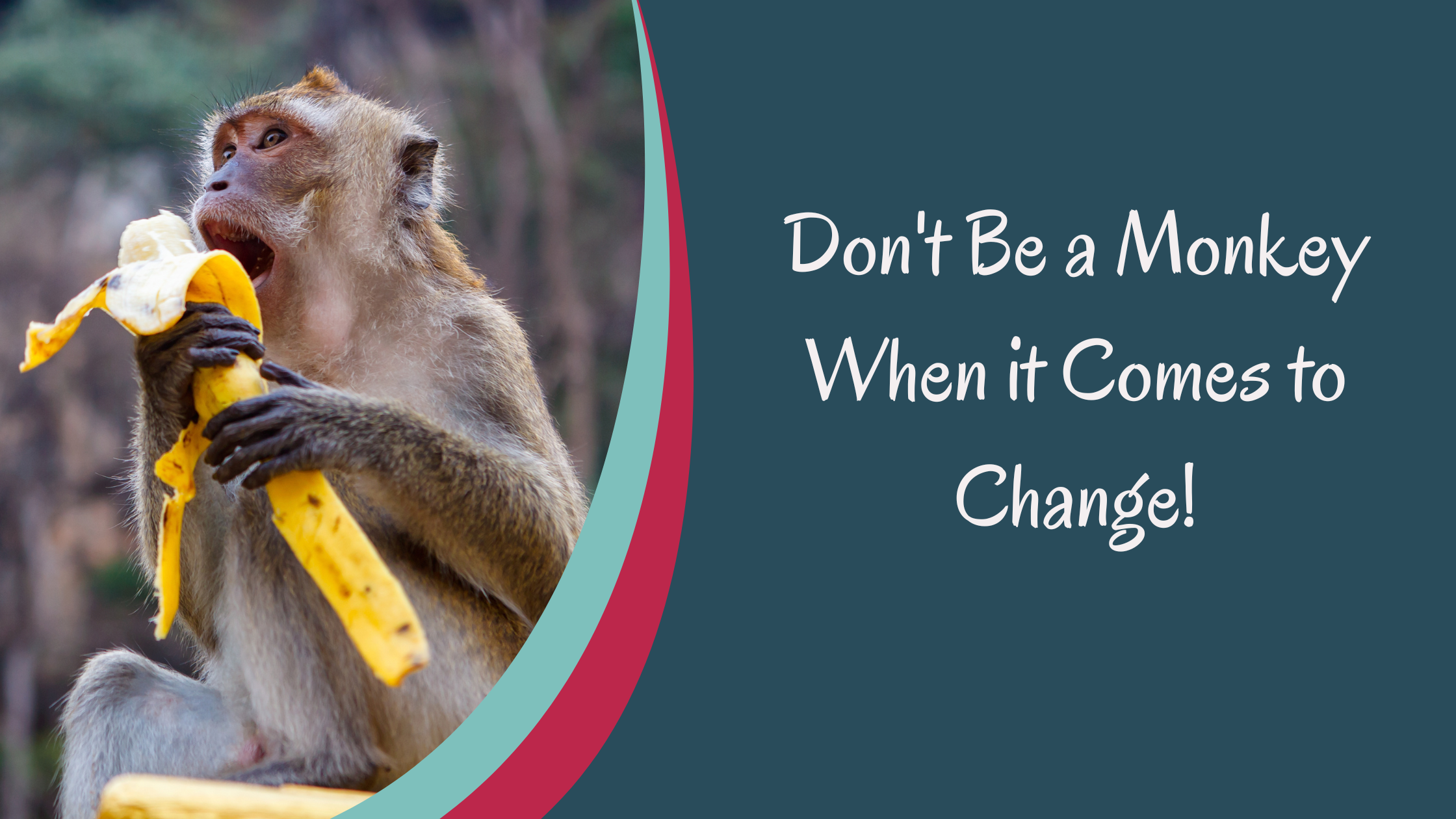 Don't Be a Monkey