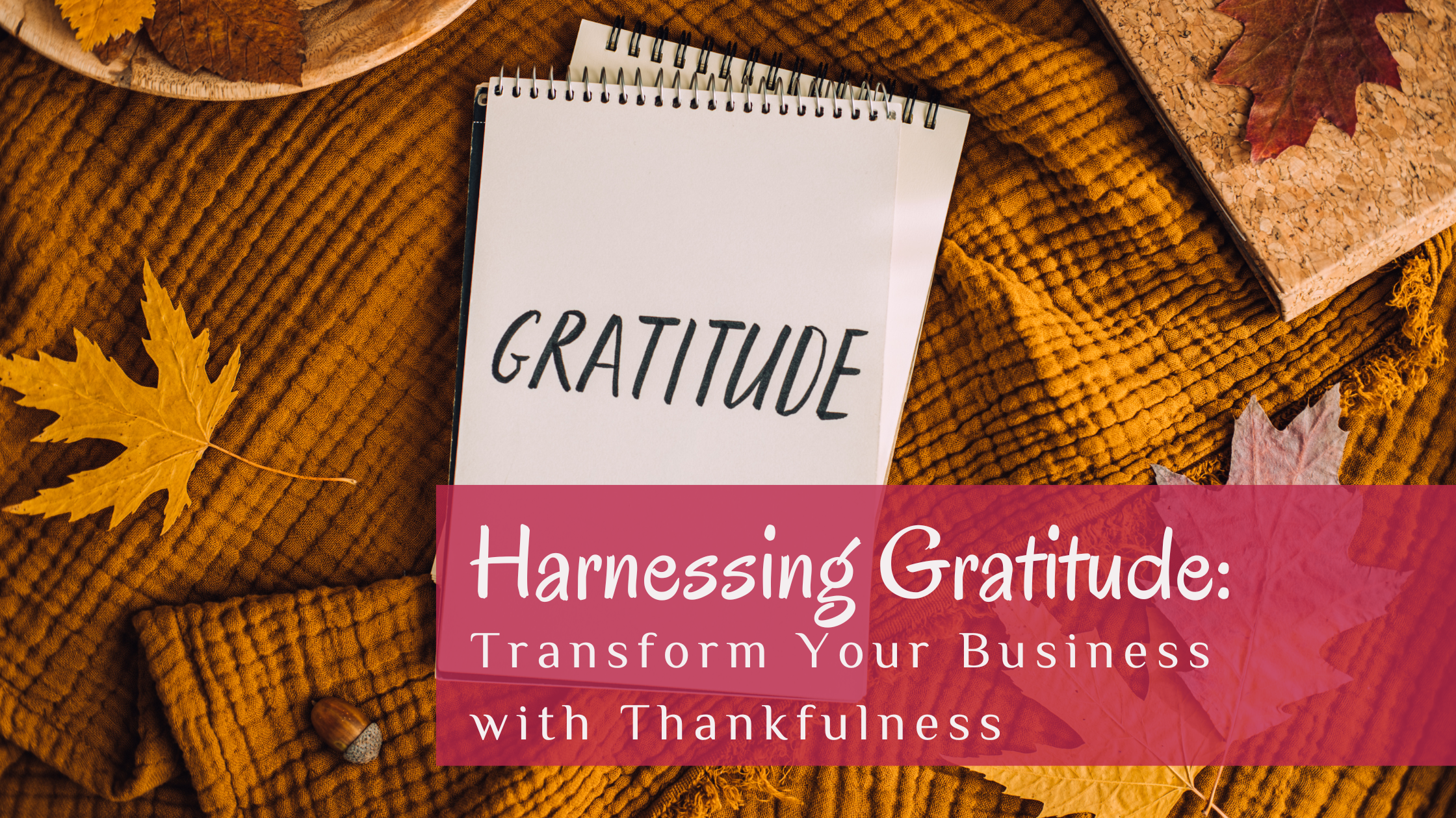 Harnessing Gratitude