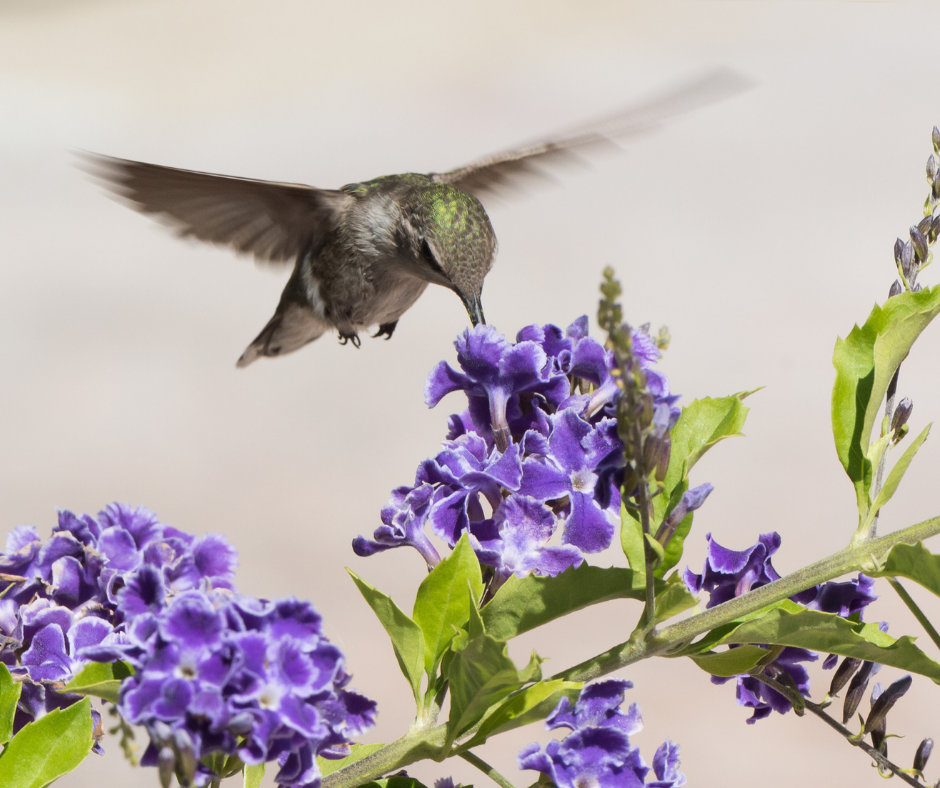 workflow automation for service businesses